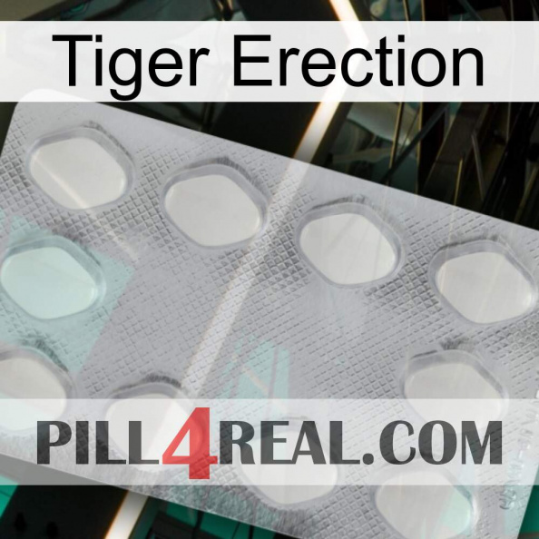 Tiger Erection 16.jpg